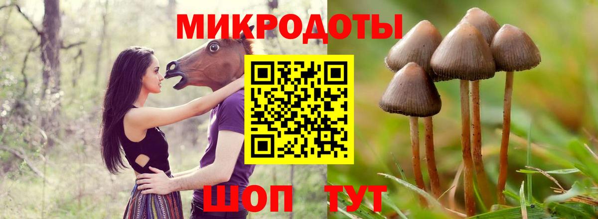 Галлюциногенные грибы мицелий Можайск